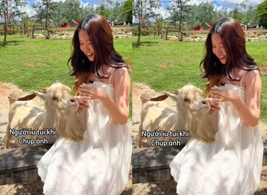 Tiểu thư yêu trai nghèo có cu bự